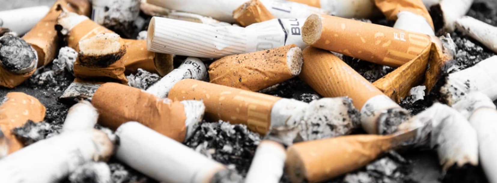 cigarette butts