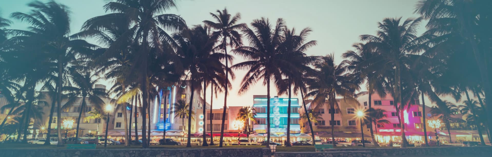 Florida beach landscape