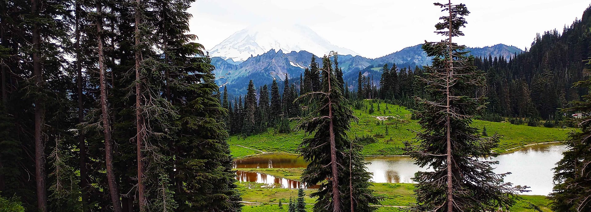 Washington state mountain landscape