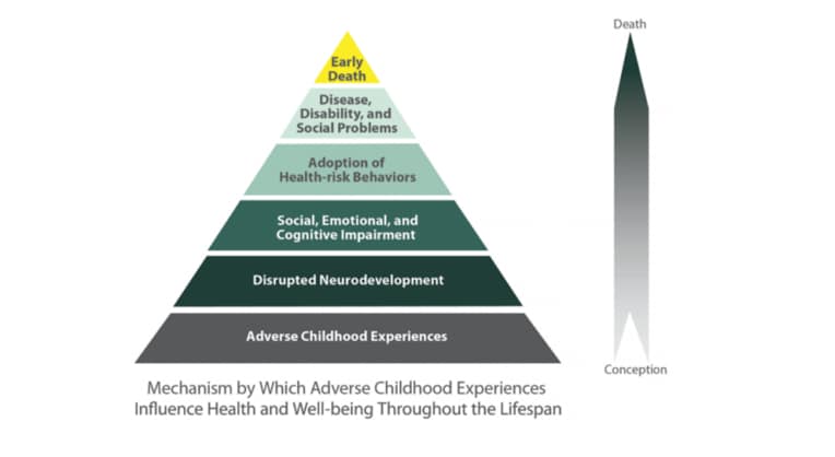 ACE graphic