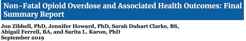 research review title