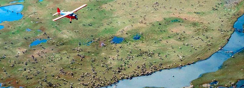 A small plane flying over a remote Alaskan area