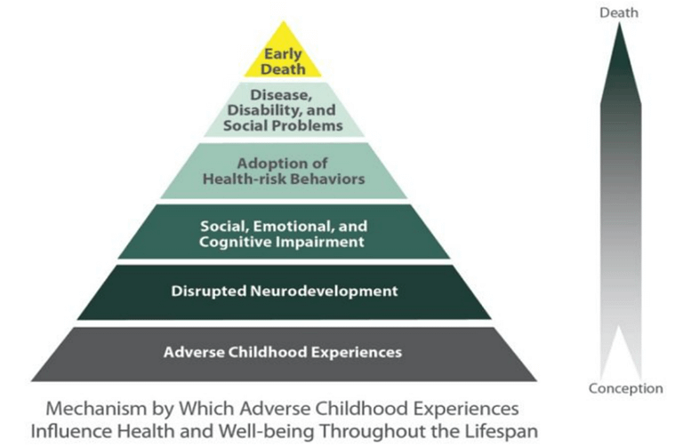 diagram of effects of adverse childhood experiences on kids