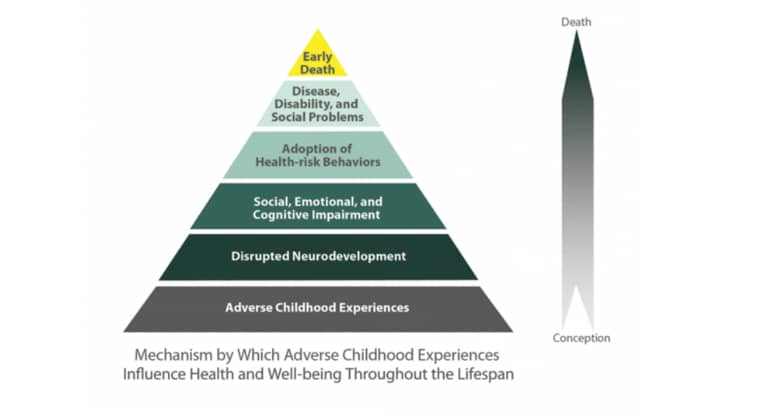 ACE graphic